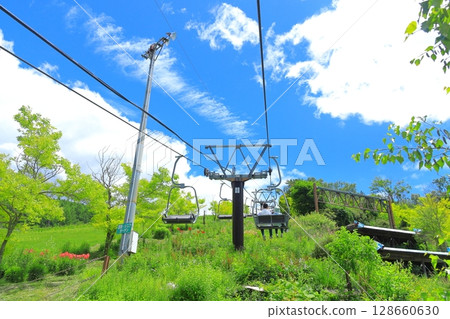 金合歡與花山觀景纜車 金合歡與花山觀景纜車 128660630