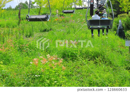 Golden Acacia and Flower Hill Observation Lift 128660633