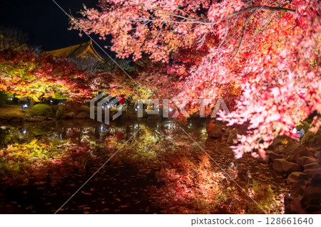 Autumn maple tree tunnel with colorful leaf light up, Toji temple, Kyoto, Autumn maple tree tunnel with colorful leaf light up, Toji temple, Kyoto, 128661640