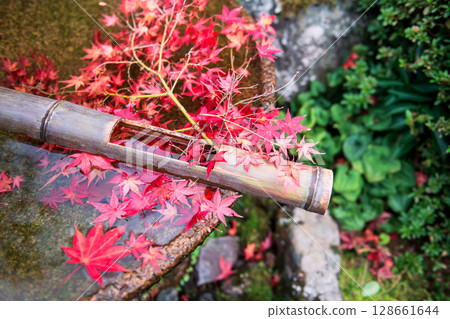 Red fall maple leaf on water basin decor in Enkoji temple, Kyoto 128661644