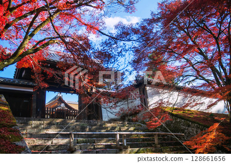 Red maple leaf by Manshuin Monzeki temple gate in Autumn, Kyoto Red maple leaf by Manshuin Monzeki temple gate in Autumn, Kyoto 128661656