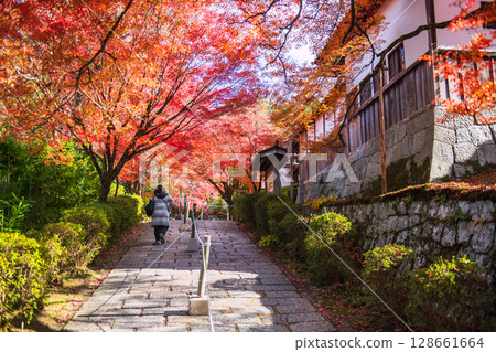 woman at autumn maple tree tunnel to Manshuin temple, Kyoto woman at autumn maple tree tunnel to Manshuin temple, Kyoto 128661664