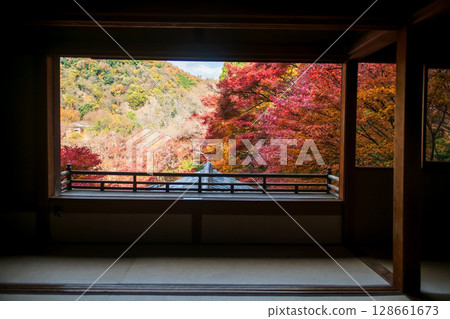 autumn maple leaf color view from window of Rurikoin Temple, Kyoto 128661673