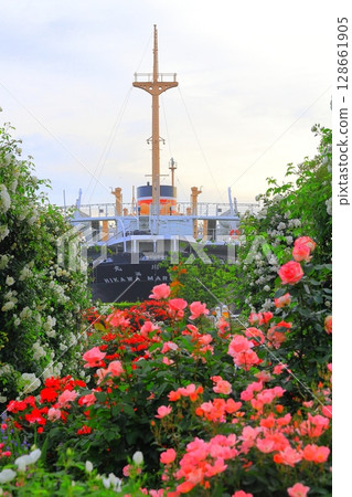 Rose garden and Hikawamaru in Yamashita Park 128661905