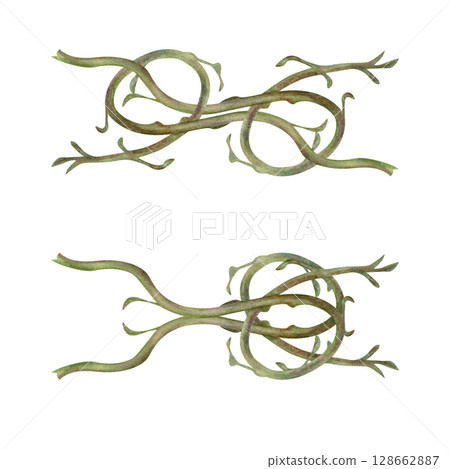 Set of watercolor illustration of symmetrically arranged green kiwi stems - lianas. Realistic botanical composition for interior prints, home decor, packaging, textiles or eco-design. Set of watercolor illustration of symmetrically arranged green kiwi stems - lianas. Realistic botanical composition for interior prints, home decor, packaging, textiles or eco-design. 128662887