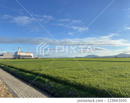 新潟市稻田 新潟市稻田 128663095