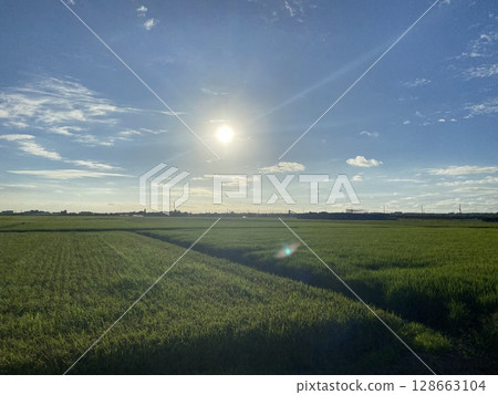 新潟市稻田 128663104