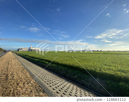 新潟市稻田 128663112