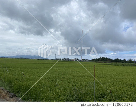 Niigata rice fields 128663172