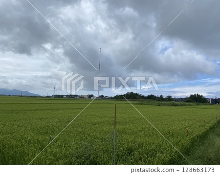 Niigata rice fields 128663173