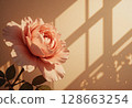 Elegant pastel flowers with morning soft sunlight 128663254