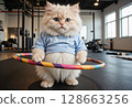 Fluffy kitten working out with colorful hula hoop 128663256