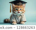 Cute kitten wearing graduation cap on blue background 128663263