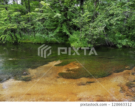Kamikochi in early summer 128663312