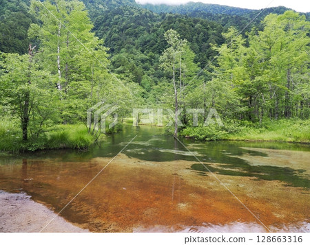 Kamikochi in early summer 128663316