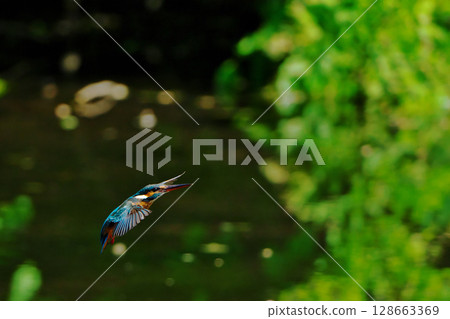 回到正常位置 128663369