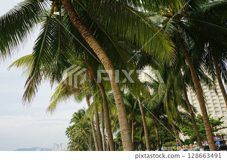Vietnam Nha Trang Beach Sunrise and palm trees 128663491