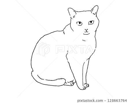 White cat sitting facing forward White cat sitting facing forward 128663764