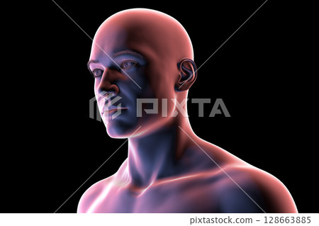 Man's head and neck silhouette, front-side view, showing facial contours, jawline, and neck anatomy, 3D illustration 128663885