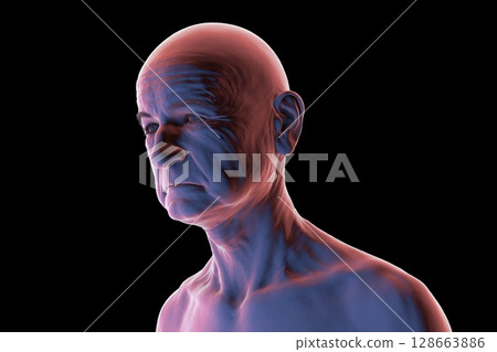 Elderly man's head and neck silhouette, front-side view, showing age-related features, jawline, and neck contours, 3D illustration 128663886