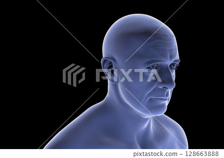 Man's head and neck silhouette, front-side view, showing facial contours, jawline, and neck anatomy, 3D illustration Man's head and neck silhouette, front-side view, showing facial contours, jawline, and neck anatomy, 3D illustration 128663888