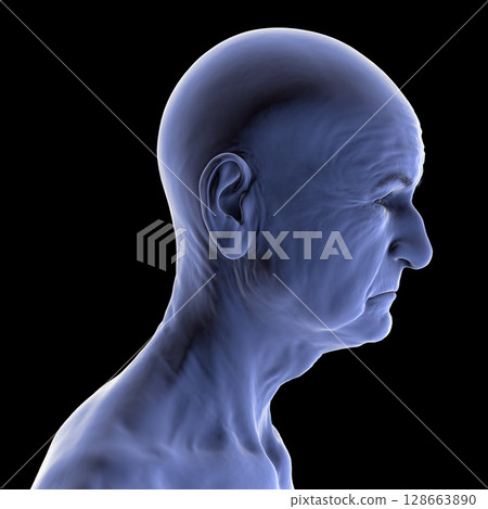 Elderly man's head and neck silhouette, side view, showing age-related features, jawline, and neck contours, 3D illustration 128663890