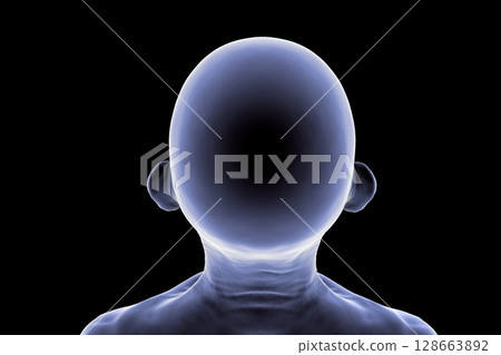 Senior male head and neck silhouette, top view, showing general anatomical contours of the skull, neck, and shoulders, 3D illustration Senior male head and neck silhouette, top view, showing general anatomical contours of the skull, neck, and shoulders, 3D illustration 128663892