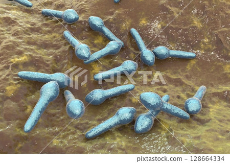 Clostridium botulinum, 3D illustration. Bacterium producing botulinum toxin, leading to botulism with flaccid paralysis and respiratory failure. Clostridium botulinum, 3D illustration. Bacterium producing botulinum toxin, leading to botulism with flaccid paralysis and respiratory failure. 128664334
