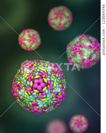 Enteroviruses, 3D illustration showing spherical, non-enveloped RNA viruses responsible for diseases like meningitis, myocarditis, hand-foot-mouth disease. 128664346