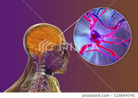 Human brain with closeup view of brain cells, neurons 128664540