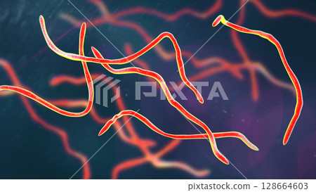 Brachyspira pilosicoli, 3D illustration showing spiral-shaped anaerobic bacterium causing intestinal spirochetosis and colonic inflammation in humans and animals 128664603