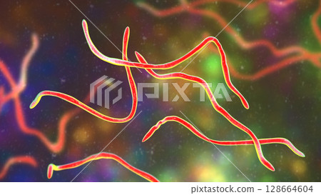Brachyspira pilosicoli, 3D illustration showing spiral-shaped anaerobic bacterium causing intestinal spirochetosis and colonic inflammation in humans and animals 128664604