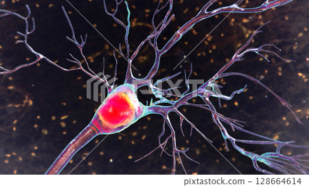 Purkinje neurons, 3D illustration showing large, branching neurons of the cerebellum responsible for motor coordination and balance control. Purkinje neurons, 3D illustration showing large, branching neurons of the cerebellum responsible for motor coordination and balance control. 128664614