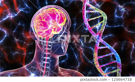 Genetic brain disorders, conceptual 3D illustration. Mutations in the DNA leading to brain diseases. Neurodegenerative disorders Genetic brain disorders, conceptual 3D illustration. Mutations in the DNA leading to brain diseases. Neurodegenerative disorders 128664738