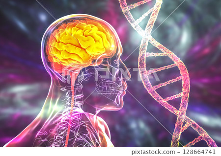 Genetic brain disorders, conceptual 3D illustration. Mutations in the DNA leading to brain diseases. Neurodegenerative disorders Genetic brain disorders, conceptual 3D illustration. Mutations in the DNA leading to brain diseases. Neurodegenerative disorders 128664741