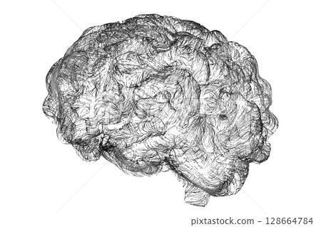 Brain made of neuronal networks 128664784