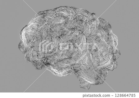 Brain made of neuronal networks 128664785