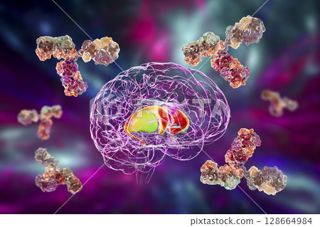 Anti-basal ganglia antibodies. 3D conceptual illustration Anti-basal ganglia antibodies. 3D conceptual illustration 128664984