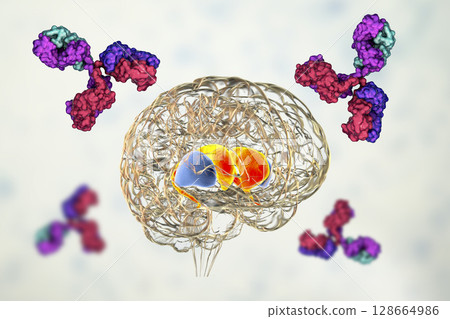Anti-basal ganglia antibodies. 3D conceptual illustration Anti-basal ganglia antibodies. 3D conceptual illustration 128664986