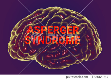 A conceptual 3D illustration featuring the text Asperger Syndrome inside the anatomical model of a human brain, highlighting the neurological basis of the condition 128664987