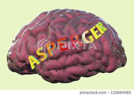 A conceptual 3D illustration featuring the text Asperger Syndrome on the anatomical model of a human brain, highlighting the neurological basis of the condition 128664989