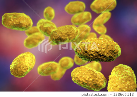 Bacteria Bordetella pertussis Bacteria Bordetella pertussis 128665118
