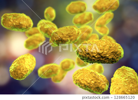 Bacteria Bordetella pertussis 128665120