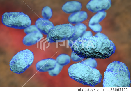 Bacteria Bordetella pertussis Bacteria Bordetella pertussis 128665121