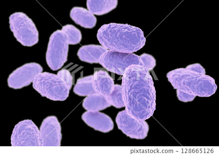 Bacteria Bordetella pertussis Bacteria Bordetella pertussis 128665126