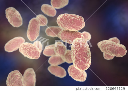 Bacteria Bordetella pertussis Bacteria Bordetella pertussis 128665129