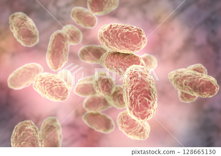 Bacteria Bordetella pertussis 128665130
