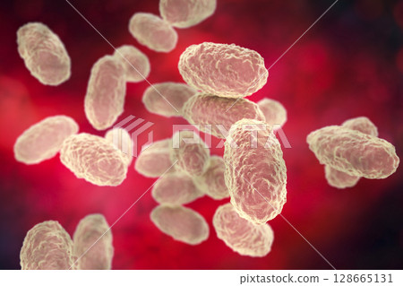Bacteria Bordetella pertussis Bacteria Bordetella pertussis 128665131