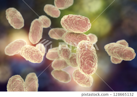 Bacteria Bordetella pertussis 128665132