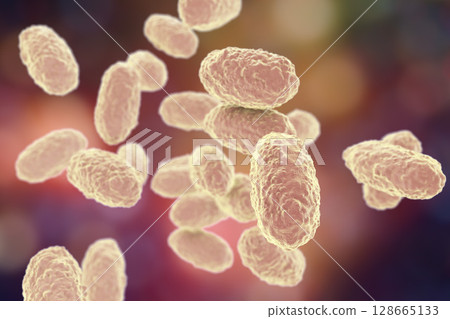Bacteria Bordetella pertussis Bacteria Bordetella pertussis 128665133